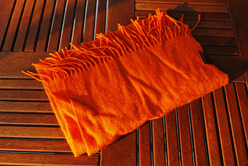 Lục túi hàng hiệu của người đẹp Hoàng Ny - 15