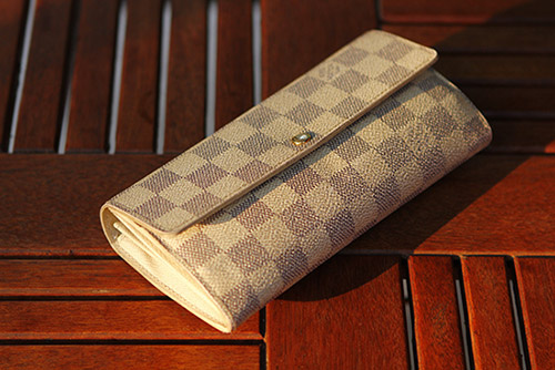 Lục túi hàng hiệu của người đẹp Hoàng Ny - 4