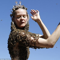 Tin tức trong ngày - Mỹ: Người phụ nữ dùng 12.000 con ong che ngực trần