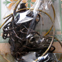 Tin tức trong ngày - Cứu chó cưng, ông chủ bị điện giật tử vong