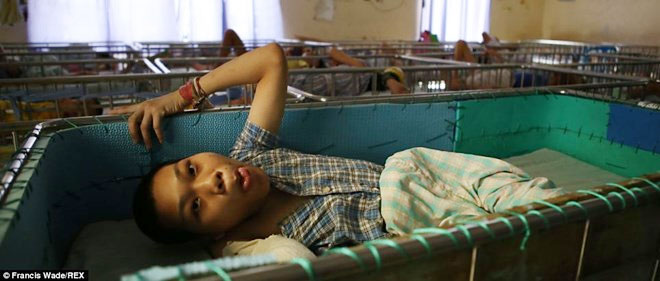 Báo Anh: "Nỗi đau da cam" ở VN khiến tim bạn "tan chảy" - 3