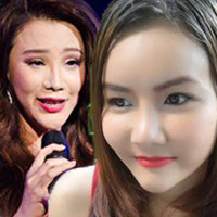 Ngôi sao điện ảnh - Mỹ nhân Việt gây sốc vì dung nhan sau thẩm mỹ