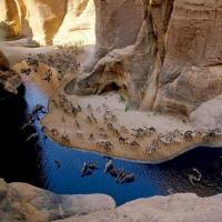 Du lịch - "Khách sạn” của lạc đà giữa sa mạc Sahara