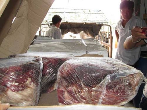 Đường ra bãi rác của 12 tấn thịt bò ngoại - 2