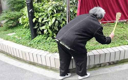 Cụ bà 80 tuổi làm "anh hùng diệt ruồi" - 2