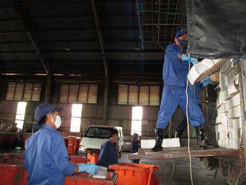 Đường ra bãi rác của 12 tấn thịt bò ngoại - 4