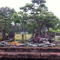 Bóng đá - Khám phá thú chơi" lạ mà không lạ" của cầu thủ Việt