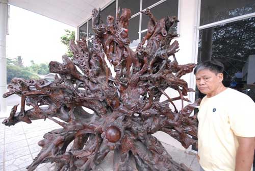 Những kiệt tác gỗ làm bằng tay giá trăm triệu - 12