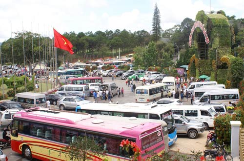 Chùm ảnh: Ngất ngây bên đồi hoa mua tím Đà Lạt - 9