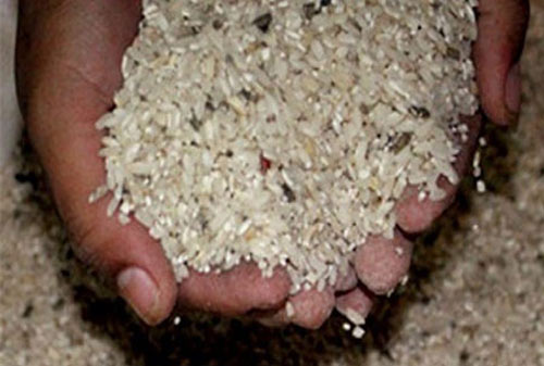 Quảng Ngãi: Bệnh "lạ" tái xuất là do… gạo có độc tố - 1