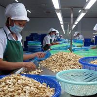 Kinh doanh - Ngân hàng, doanh nghiệp bí đầu ra