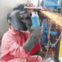 Bạn trẻ - Cuộc sống - Giỏi thì không sợ thiếu việc làm