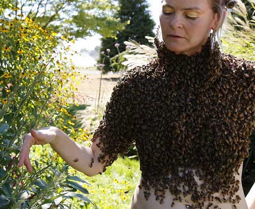 Video: Che mình trần bằng 12.000 con ong - 1