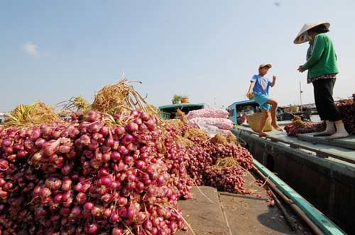 Những loại rau củ khiến dân miền Tây mất ăn mất ngủ - 14