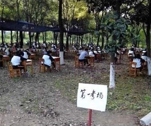 Trung Quốc: Sinh viên vào rừng làm bài thi - 1
