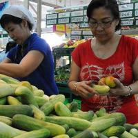 Sức khỏe đời sống - Dưa leo đẹp mặt, mát lòng