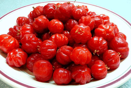 Cây chùm ruột sau nhà! - 5