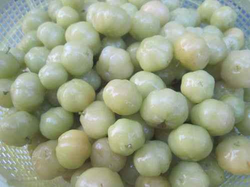 Cây chùm ruột sau nhà! - 1