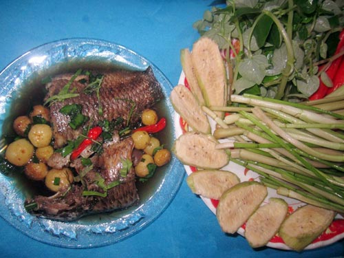 Cây chùm ruột sau nhà! - 3