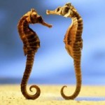 Gần nửa số đàn ông trên thế giới nên biết