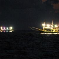 Thị trường - Tiêu dùng - Thu tiền triệu mỗi đêm nhờ câu mực bằng cần tre