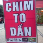 "Hội thi chim" phiên bản thơ