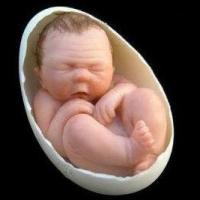 Phi thường - kỳ quặc - Người phụ nữ …. đẻ trứng