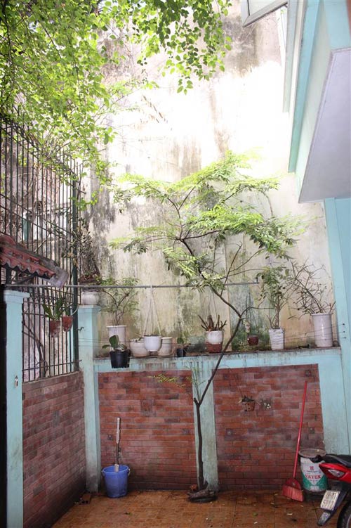 NS Thanh Quý: Sống với Thành Chương như hôn mê sâu - 11