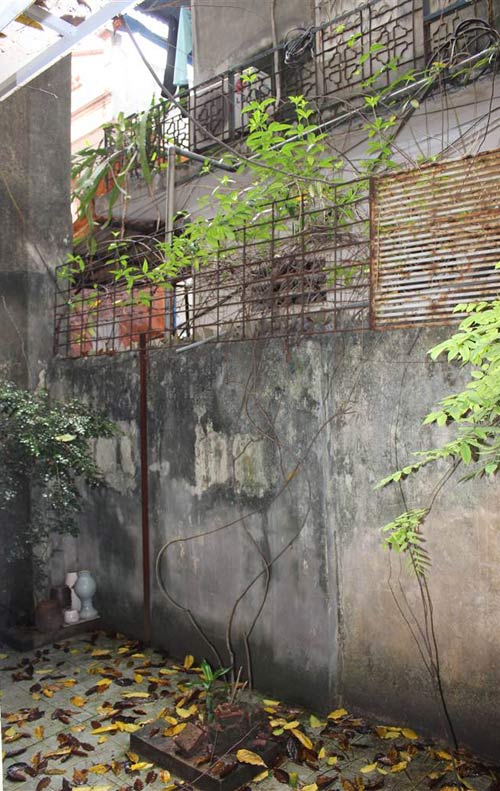 NS Thanh Quý: Sống với Thành Chương như hôn mê sâu - 10