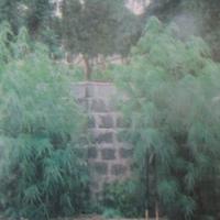 Pháp luật - Bị bắt vì trồng 2 cây cần sa trong nhà