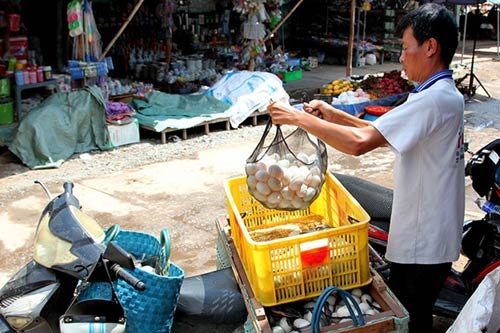 Vất vả nghề nuôi vịt chạy đồng của người miền Tây - 15