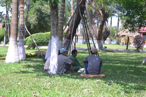 Người Đà Nẵng “quay cuồng” trong nắng nóng đầu mùa - 8