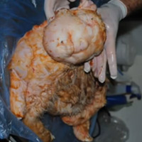 Phi thường - kỳ quặc - Hốt hoảng vì chú cừu có khuôn mặt như người