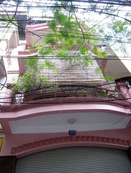 Thăm nhà 3 danh hài đất Bắc - 5