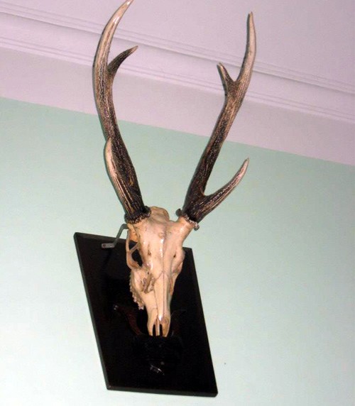 Thăm nhà 3 danh hài đất Bắc - 8