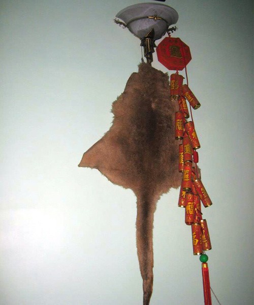 Thăm nhà 3 danh hài đất Bắc - 9