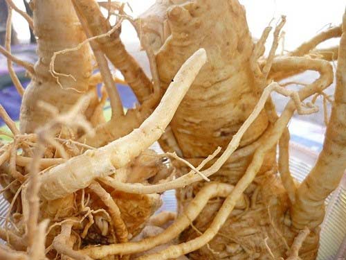 Những kiểu mua bán tận diệt của TQ tại Việt Nam - 6