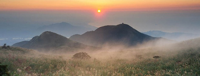 Công viên Dương Minh Sơn là một trong 8 vườn quốc gia lớn của Đài Loan, với địa hình núi lửa đặc thù, xen lẫn những thung lũng yên bình và quần thể động thực vật phong phú.
