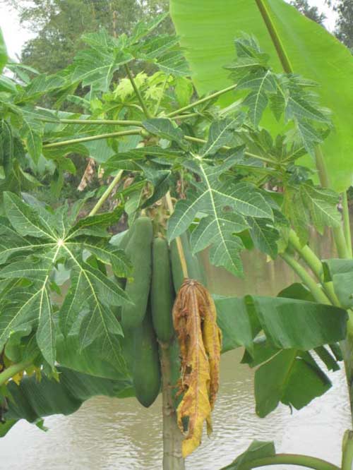 Tên em, chẳng thiếu chẳng thừa! - 3