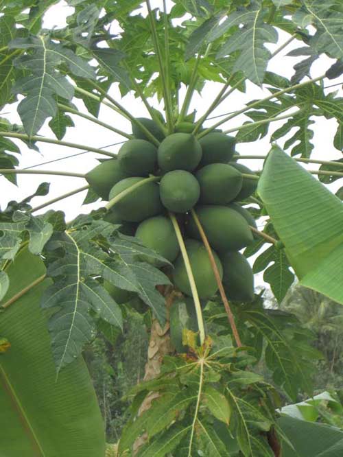 Tên em, chẳng thiếu chẳng thừa! - 4