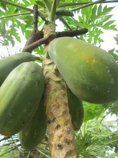 Tên em, chẳng thiếu chẳng thừa! - 5