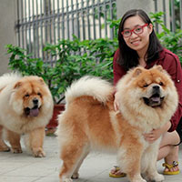 Bạn trẻ - Cuộc sống - Cô gái Việt có trại chó giá ngàn đô/con