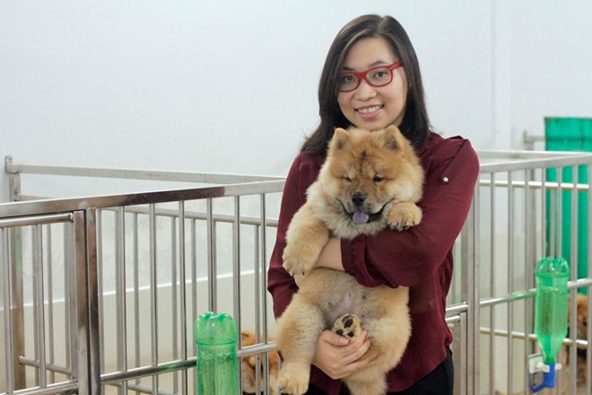 Cô gái Việt có trại chó giá ngàn đô/con - 1