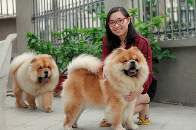 Cô gái Việt có trại chó giá ngàn đô/con - 10