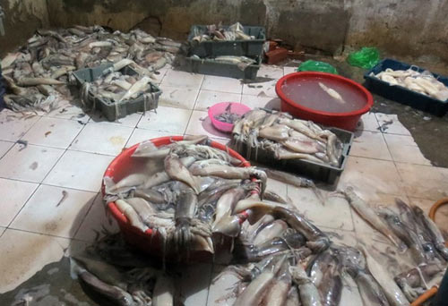 Hàng thải loại, nhiễm độc Trung Quốc tràn lan chợ Việt - 1