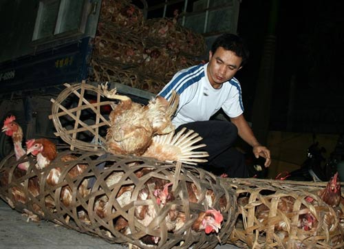 Hàng thải loại, nhiễm độc Trung Quốc tràn lan chợ Việt - 11