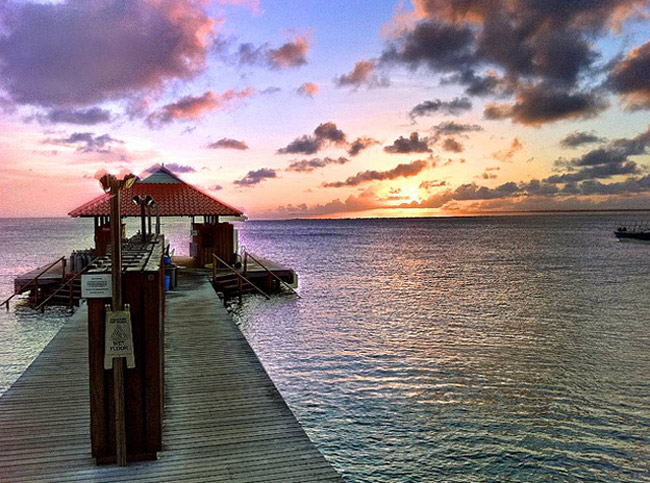 10. &nbsp;Bonaire – Caribbean

Mặc dù thuộc Hà Lan nhưng Bonaire lại nằm trên vùng biển Caribbean gần với Araba và Curacao.
