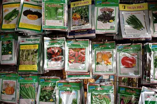 Sợ đồ Trung Quốc, người Sài Gòn dọn chỗ ở trồng rau - 11