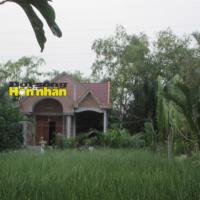 Tin tức trong ngày - Vận số kỳ lạ của goá phụ trúng độc đắc bạc tỷ