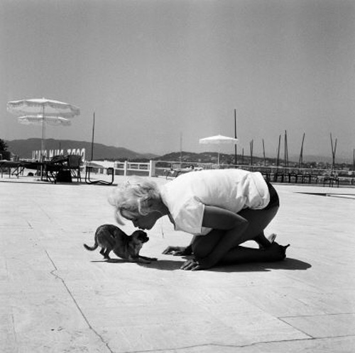 Những khoảnh khắc lịch sử tại LHP Cannes - 13